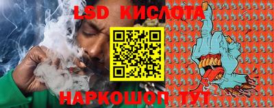 эйфоретик Малгобек